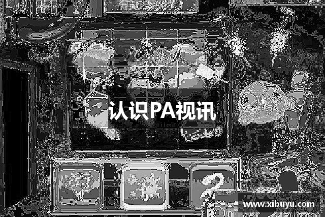 认识PA视讯